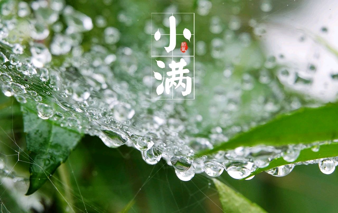 【诗词鉴赏】小满（外一首）文/关怀宪（图3）