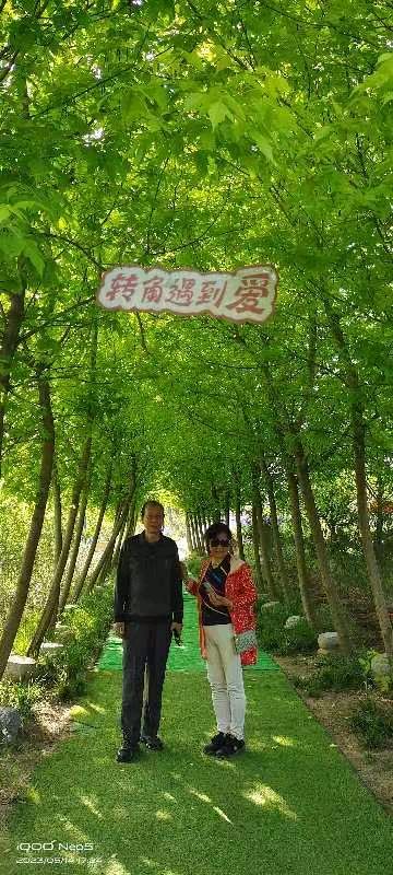 精美藏头诗欣赏之七十五‖作者:白莲/腊梅（图13）