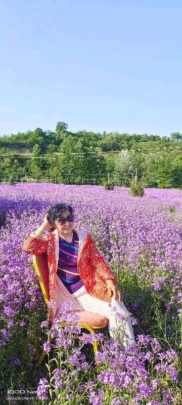 精美藏头诗欣赏之七十五‖作者:白莲/腊梅（图16）