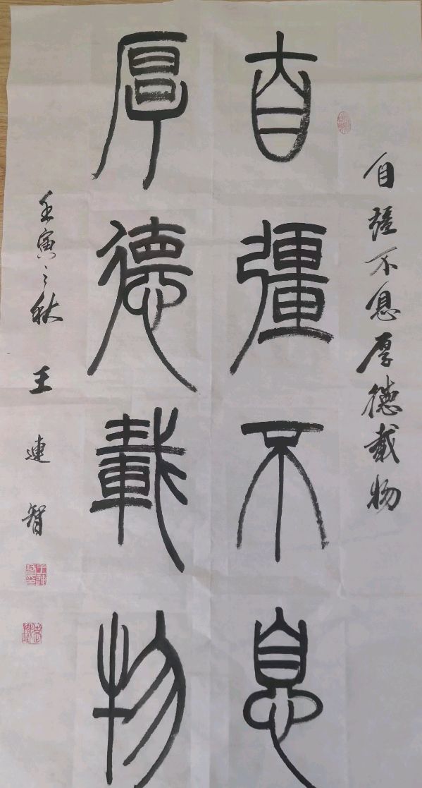 笔墨豪情写出大美气象一一著名书法家王连智作品雅集（图6）