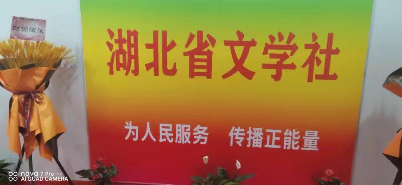 【北京头条】推介胡清普《湖北文学社感怀》请欣赏（图4）