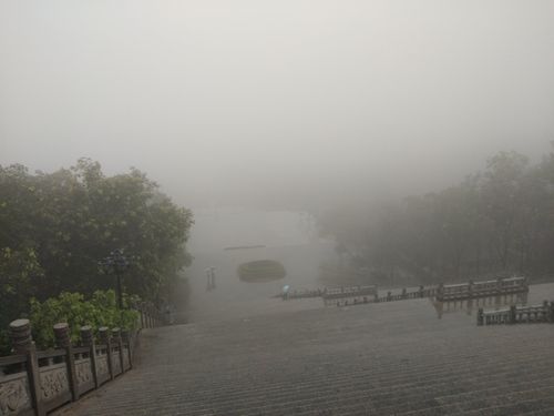 【北京头条】推介姚春发《雨雾》请欣赏（图4）