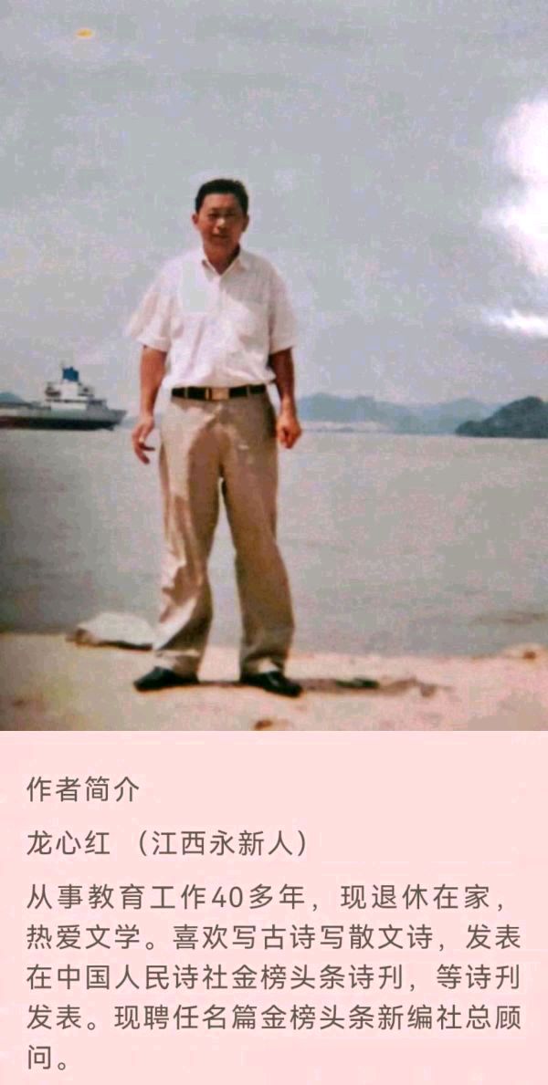 【北京头条】推介龙心红组诗请欣赏（图9）