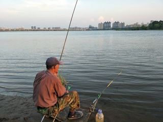 【北京头条】推介龙心红组诗请欣赏（图7）