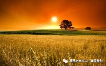 【北京头条】推介优秀作家诗人方亮老师《人生一世》请欣赏(图7)