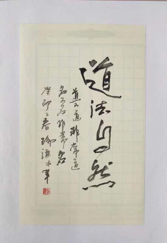 行云流水写大美墨随心走出意境一一著名书法家陈瑞谦硬笔书法雅集欣赏（图4）