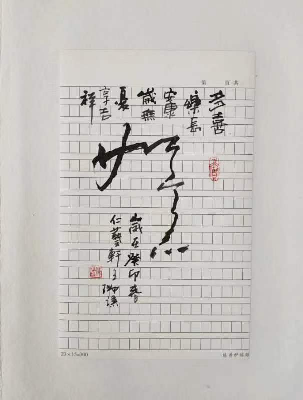 行云流水写大美墨随心走出意境一一著名书法家陈瑞谦硬笔书法雅集欣赏（图11）