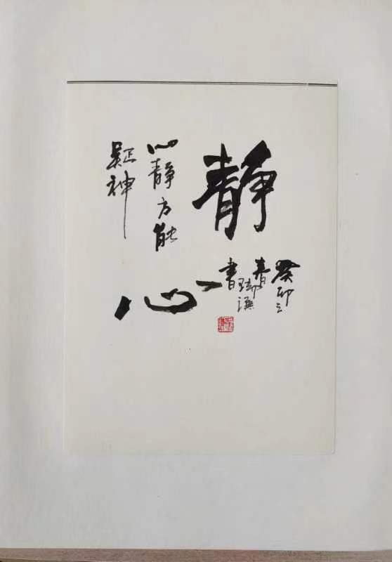 行云流水写大美墨随心走出意境一一著名书法家陈瑞谦硬笔书法雅集欣赏（图17）
