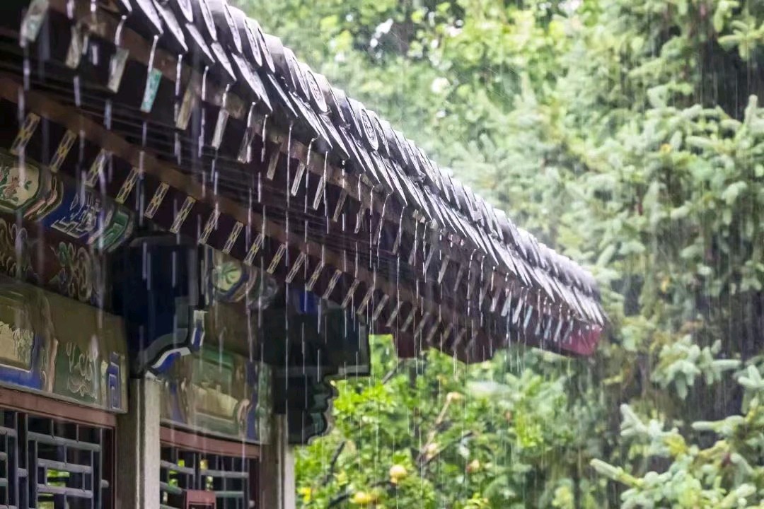 《七律 闻雨声》诗人:柳鸣（图3）