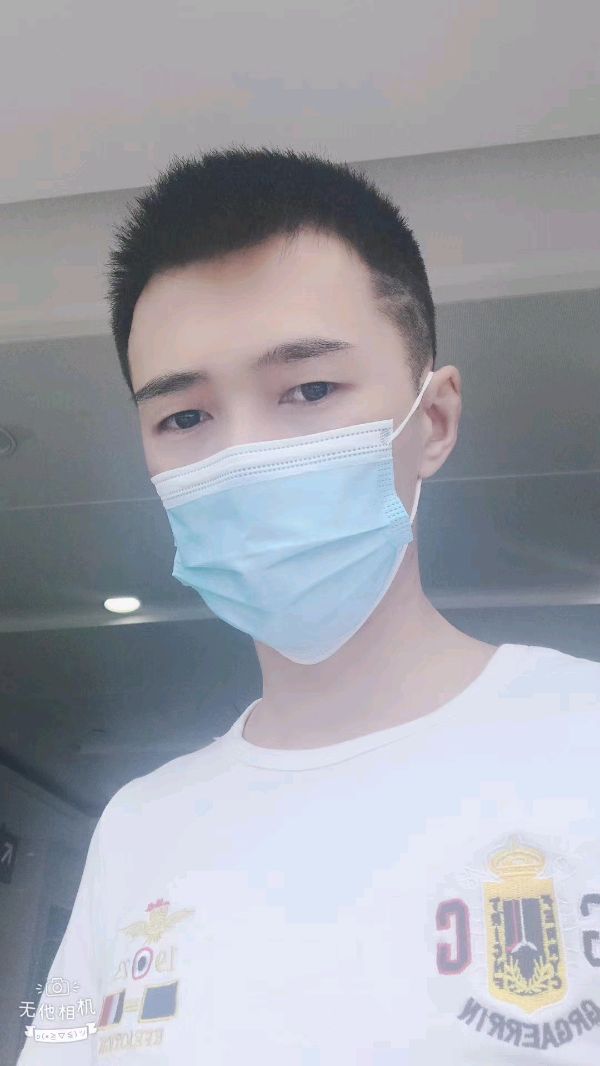 云鹏万里自由飞翔