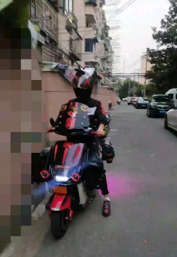 云鹏万里自由飞翔（图9）