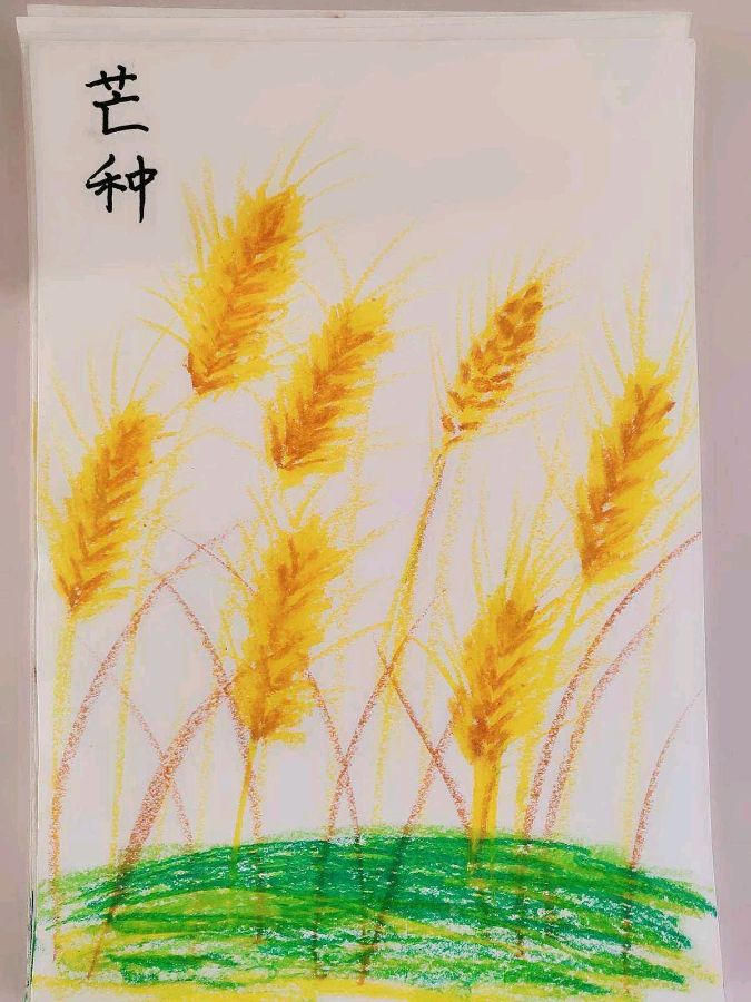 【枫雅汇看图约诗】第287期《芒种》（图3）