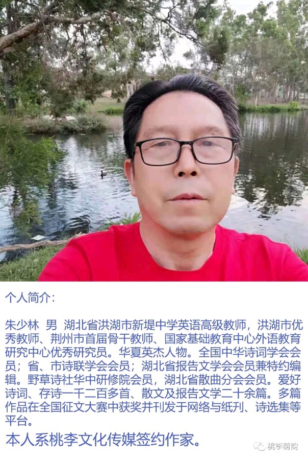 【北京头条】推介优秀诗人朱少林老师《七律•孤吟童年》请欣赏（图8）