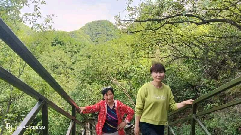 精美藏头诗欣赏之七十六‖作者:白莲/腊梅（图5）