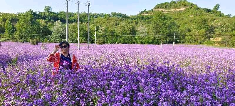 精美藏头诗欣赏之七十六‖作者:白莲/腊梅（图7）
