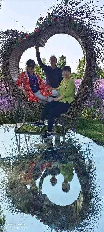 精美藏头诗欣赏之七十六‖作者:白莲/腊梅（图21）