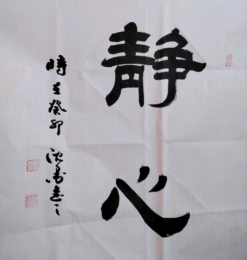 盛世舞彩练翰墨运河情一一沧州大运河园博园之夏联谊会侧记（图15）