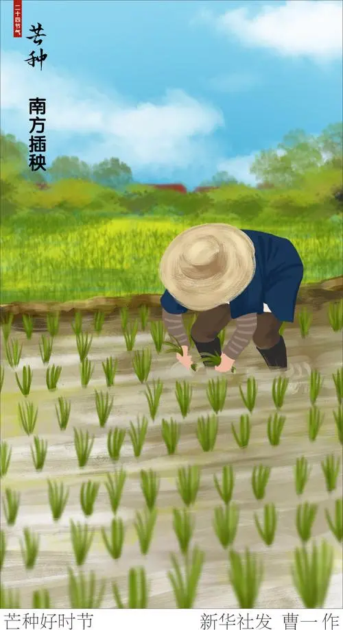 【七律】芒种吟 /作者:吴云钦(江西)(图3)
