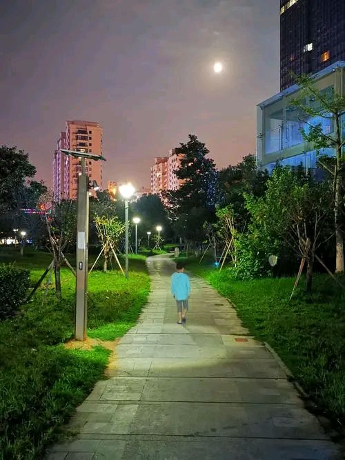 【自由体新诗】《自嘲》作者/郑金波（图4）