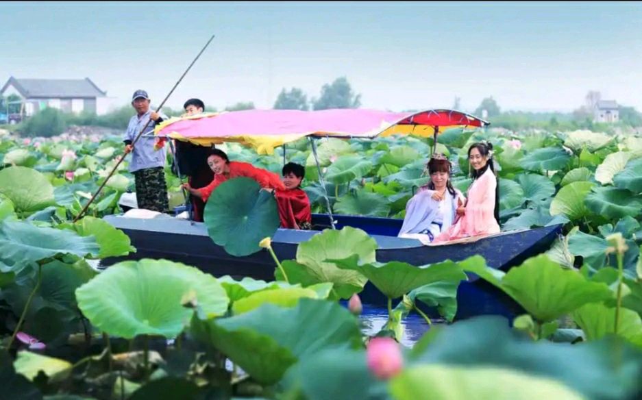华夏流水诗社/王俊杰老师专辑(9)(图3)