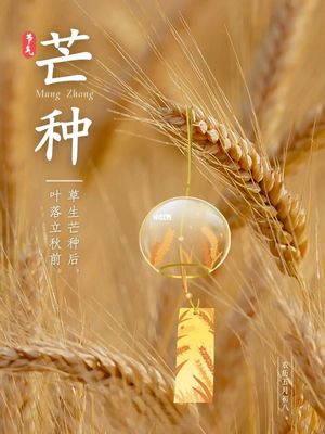 【北京头条】推介陈兆成《金麦黄了好入仓》请欣赏（图7）