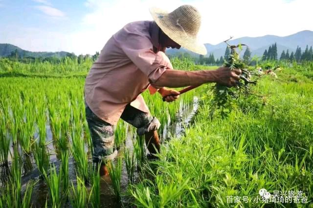 【北京头条】推介（山风 本溪）优秀诗人冯其兰七绝二首请欣赏（图4）