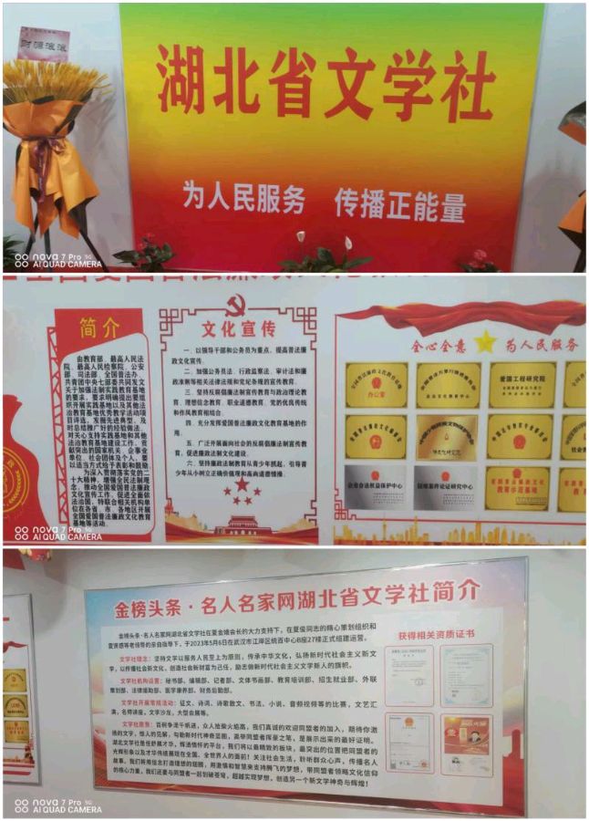 【北京头条】推介胡清普《贺湖北文学社成立》请欣赏（图4）