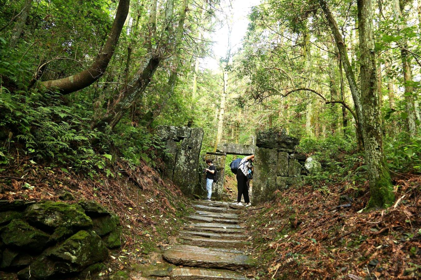 【北京头条】分享（辽宁本溪）优秀诗人（山风）冯其兰《高考》外一首请欣赏（图5）