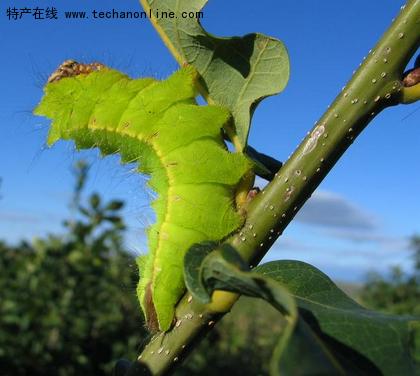 【北京头条】推介优秀诗人黄兴民诗三首请欣赏（图6）