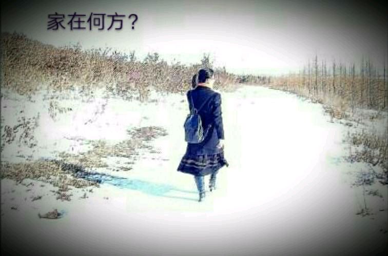 【北京头条】推介杨连仲组诗请欣赏(图7)