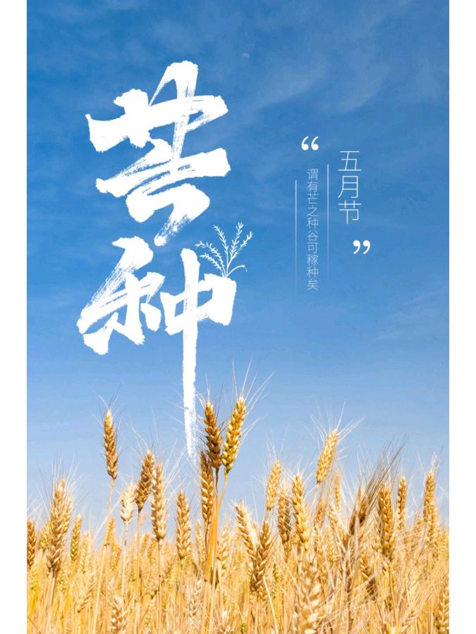 【神都诗社】第056期《芒种》（图12）