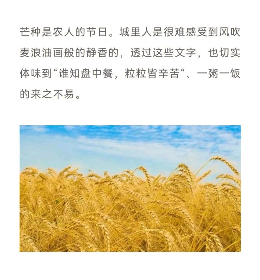 【神都诗社】第056期《芒种》（图16）