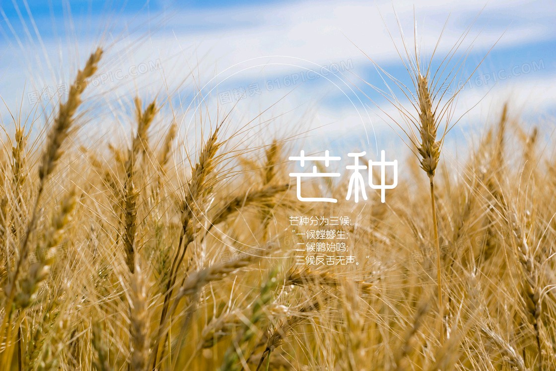 【神都诗社】第056期《芒种》（图24）