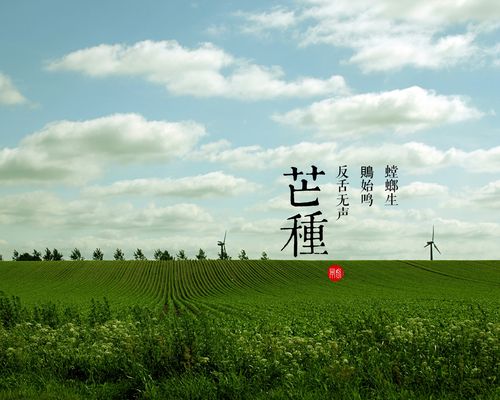 【神都诗社】第056期《芒种》（图27）