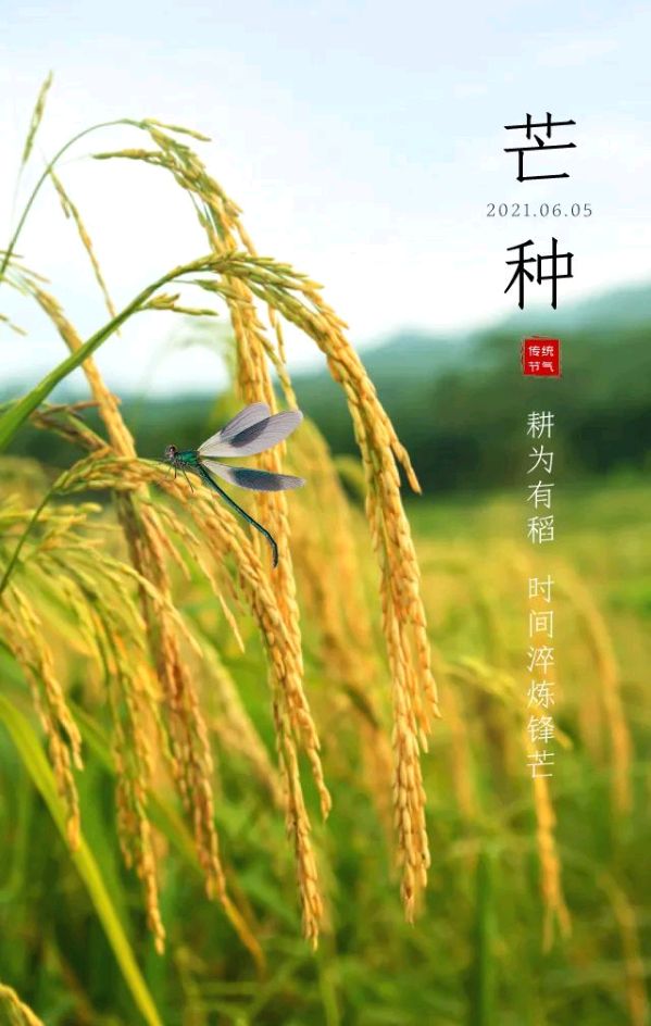 【神都诗社】第056期《芒种》（图32）