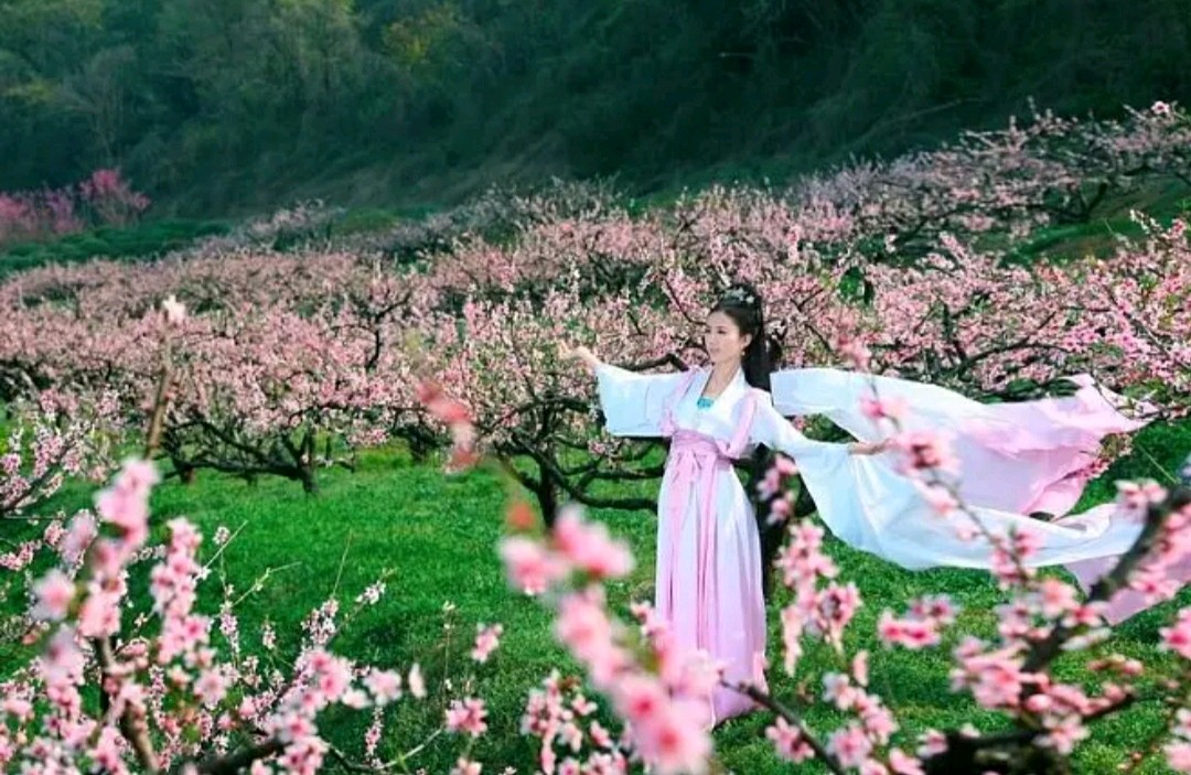 【华夏周刊】第145期合辑
