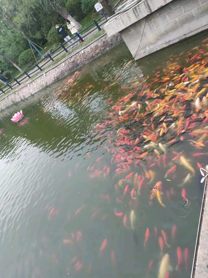 【北京头条】分享优秀作家诗人方亮老师《故乡行》请欣赏（图24）