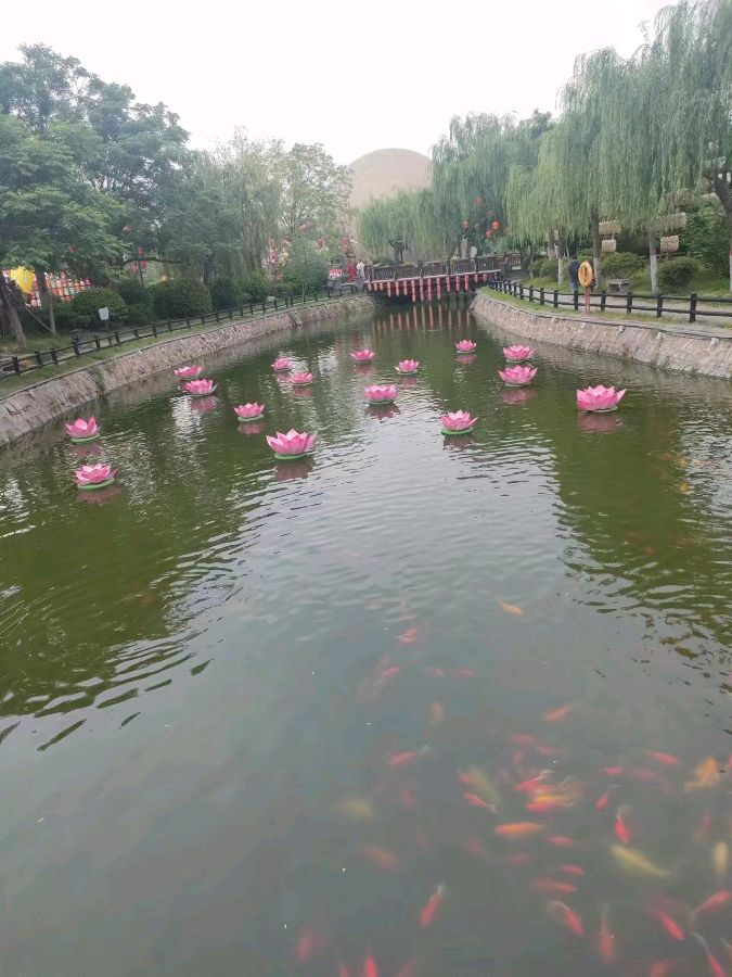 【北京头条】分享优秀作家诗人方亮老师《故乡行》请欣赏（图23）