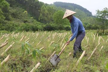 【北京头条】分享优秀诗人陈兆成《夏日畅想》请欣赏（图5）