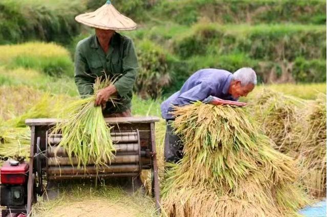 【北京金榜】推介优秀作家诗人孙健友《芒种遐思》请欣赏（图10）