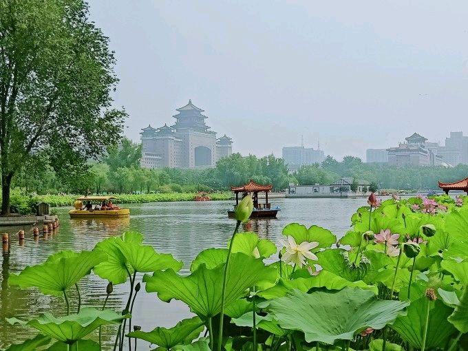 【诗词鉴赏】五律•莲花池观感 文/吴树林(图3)
