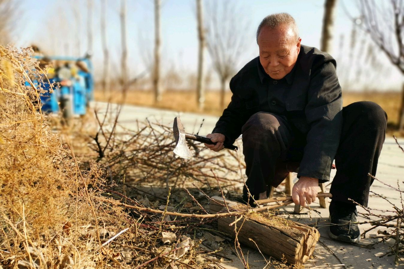 【北京头条】推介胡清普《乡村观老农砍柴》请欣赏（图5）