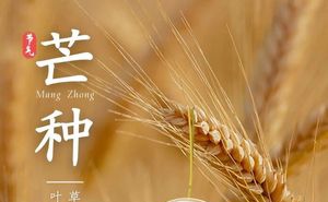 【北京头条】推介(安徽)优秀诗人刘顺和老师诗词一组请欣赏(图4)