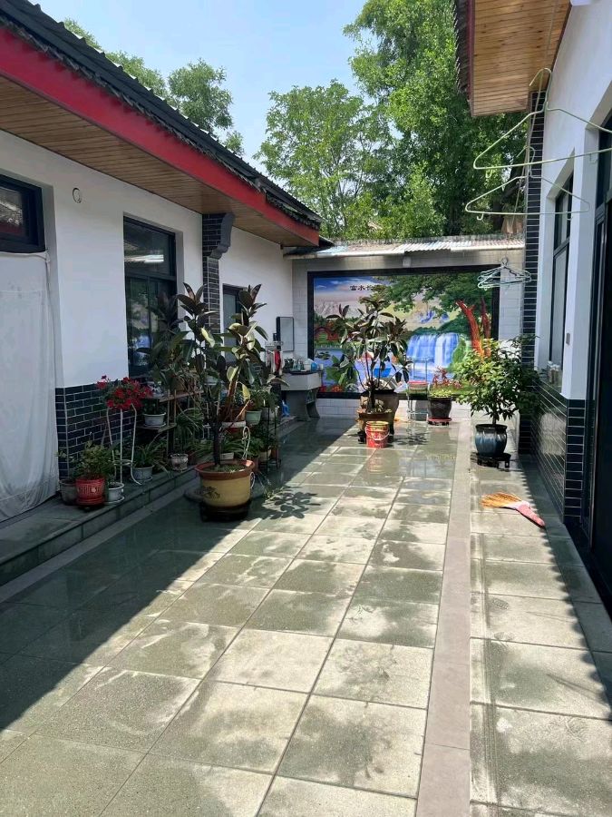 【纪实散文】老院子：文／魏红霞（陕西韩城）（图5）