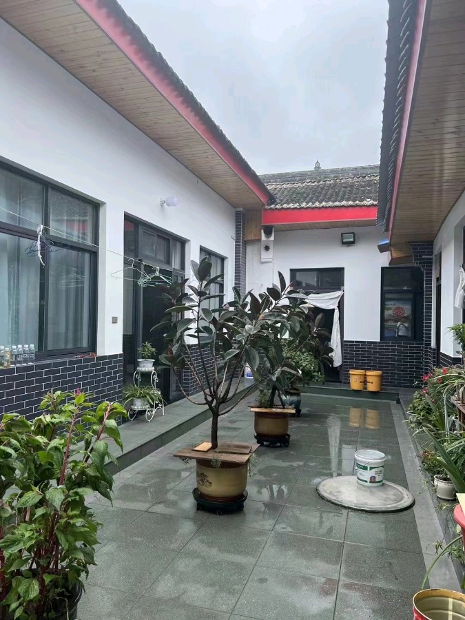 【纪实散文】老院子：文／魏红霞（陕西韩城）（图8）