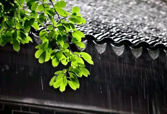 【枫雅汇看图约诗】第289期《梅雨》（图9）