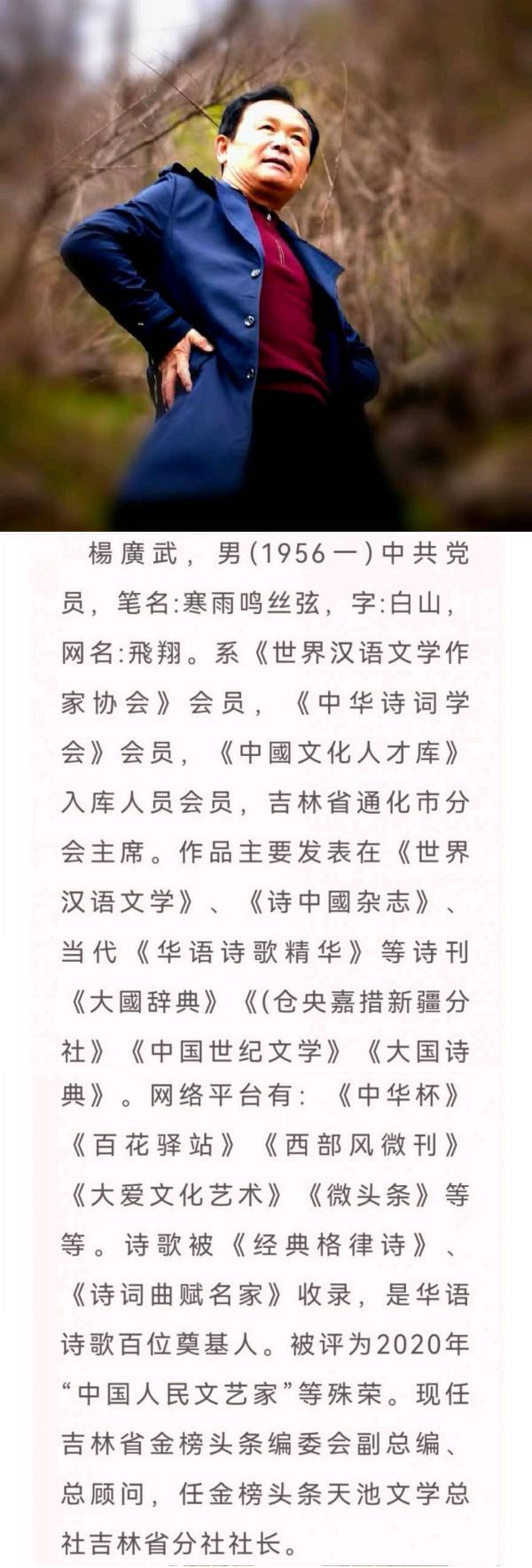 【北京头条】推介（吉林）优秀诗人杨广武老师《端午感怀》请欣赏（图9）