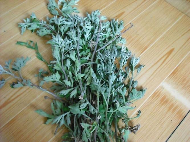 【北京头条】推介刘同芳《端午节忆母爱》外一首请欣赏（图6）