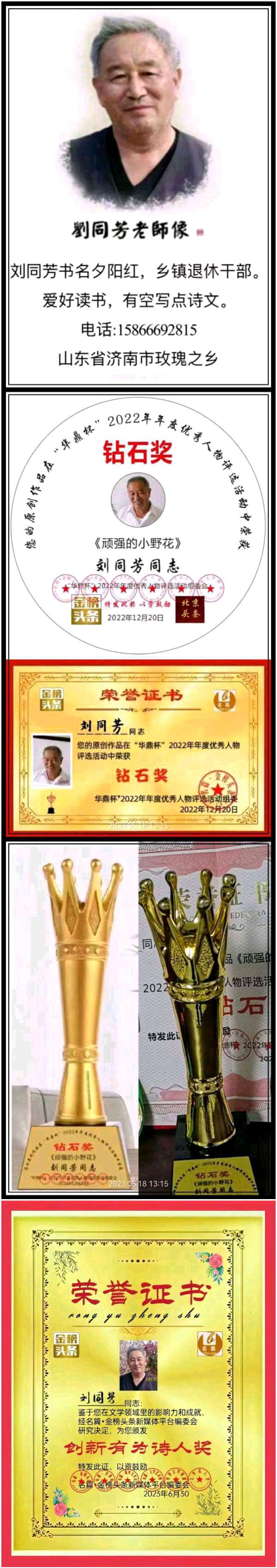 【北京头条】推介刘同芳《端午节忆母爱》外一首请欣赏（图11）
