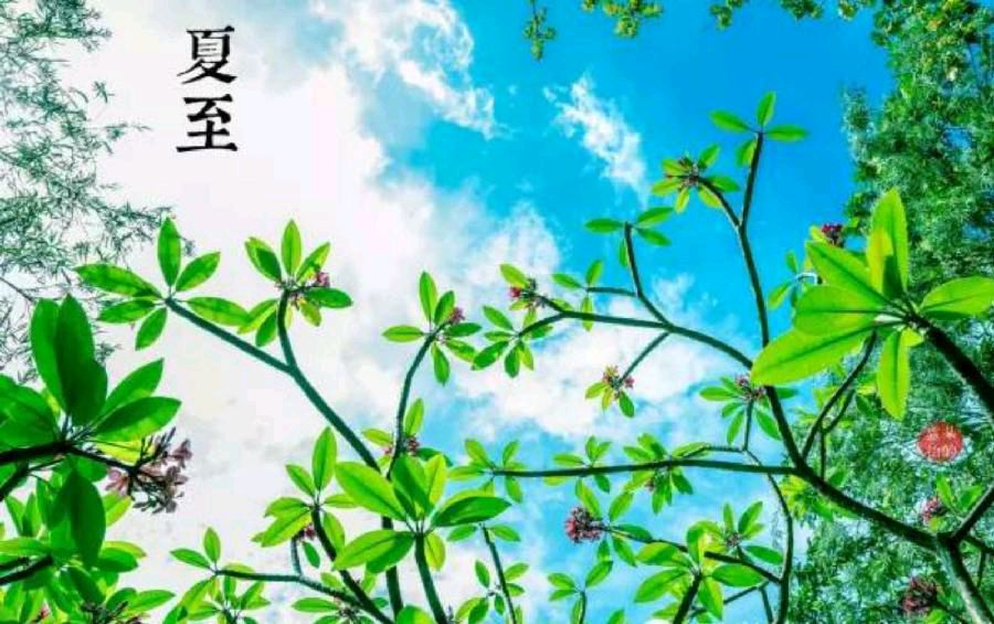 【北京头条】推介（四川）优秀诗人灯火阑珊老师擵《夏至吟》（原创）请欣赏（图6）